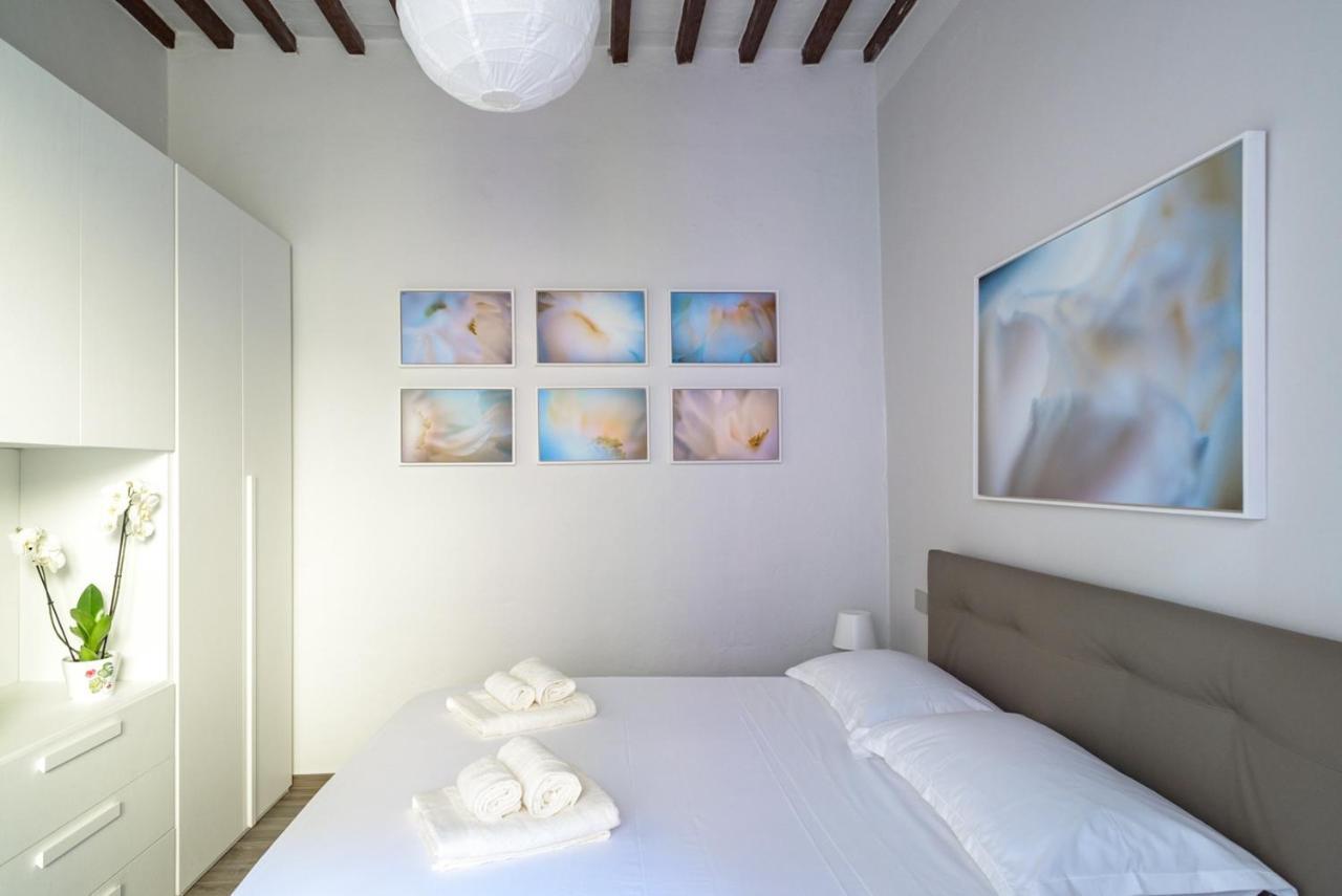 Pisa Art Apartment מראה חיצוני תמונה