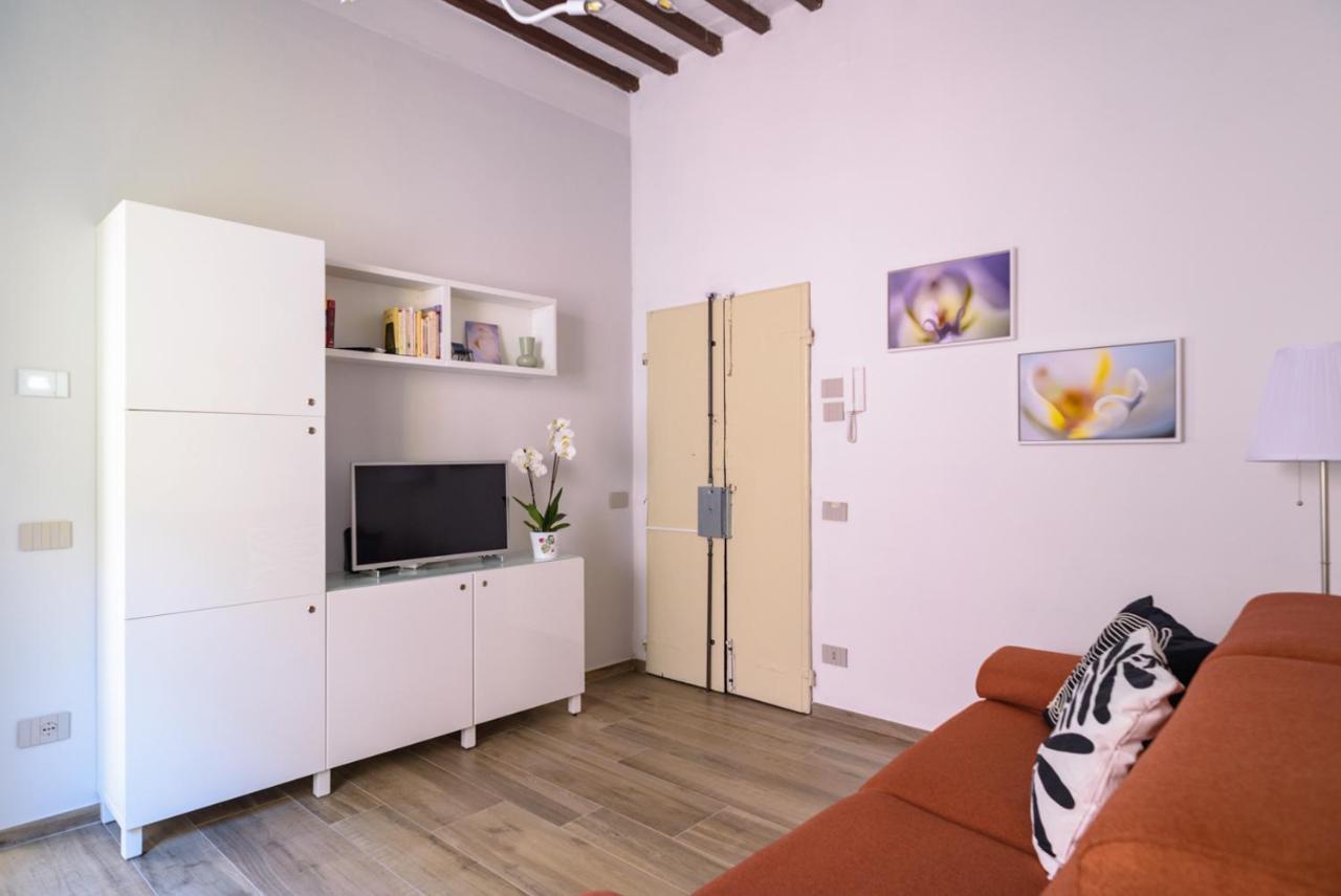Pisa Art Apartment מראה חיצוני תמונה